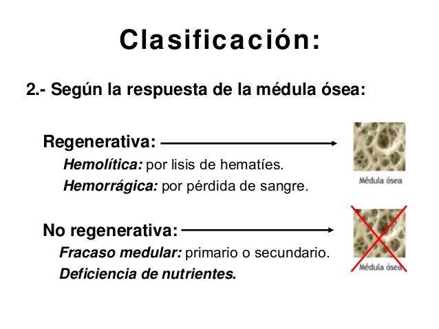 anemia regenerativa y arregenerativa